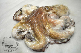 Cómo cocer pulpo paso a paso